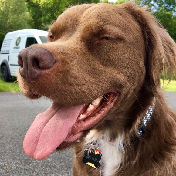 Meet your Posher, Trish - Picture 8 of 8